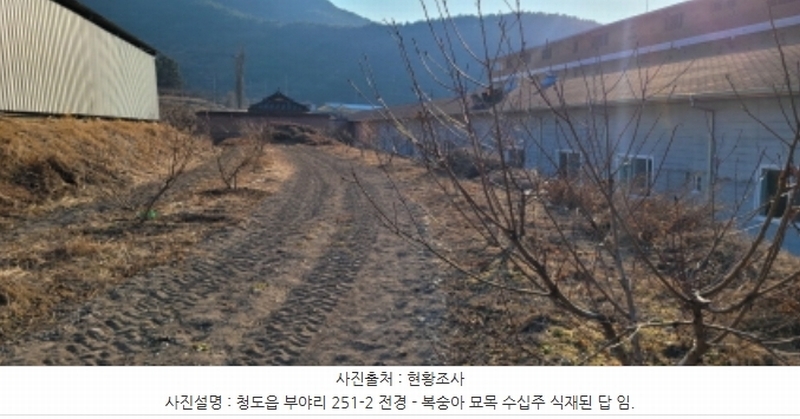 2024타경129054 경상북도 청도군 청도읍 부야리 251-2 농지 경매 이미지
