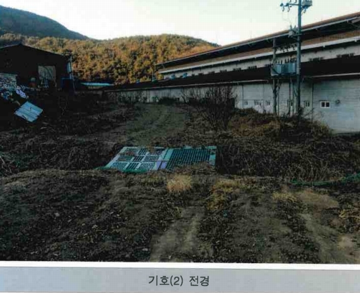 2024타경129054 경상북도 청도군 청도읍 부야리 251-2 농지 경매 이미지