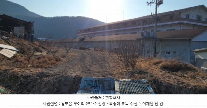 2024타경129054 경상북도 청도군 청도읍 부야리 251-2 농지 경매 이미지