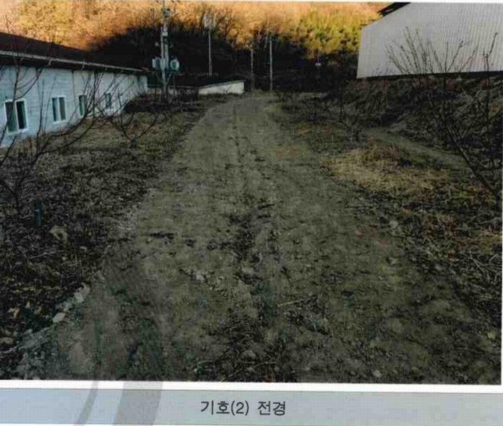 2024타경129054 경상북도 청도군 청도읍 부야리 251-2 농지 경매 이미지