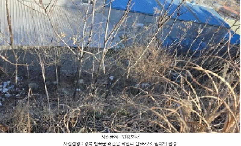 2024타경129344 경상북도 칠곡군 왜관읍 낙산리 산56-23 임야 경매 이미지