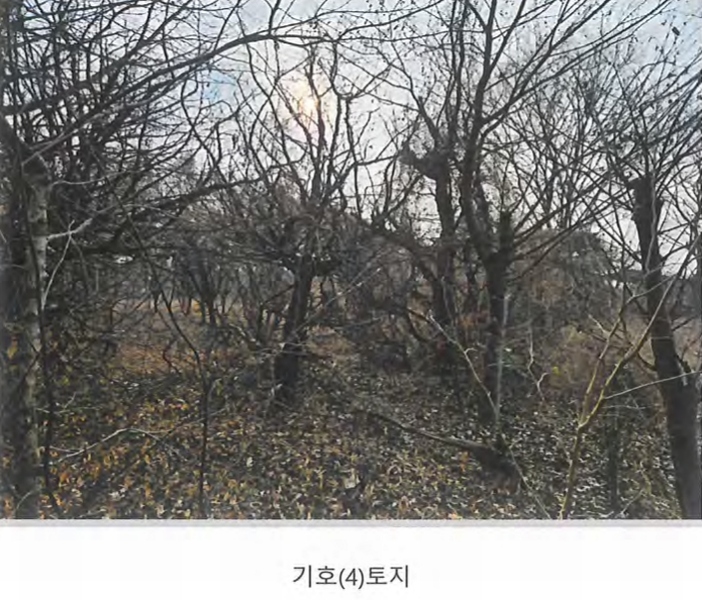 2024타경129894 경상북도 경산시 와촌면 용천리 661-3 근린시설 경매 이미지