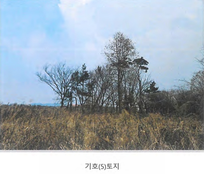 2024타경129894 경상북도 경산시 와촌면 용천리 661-3 근린시설 경매 이미지