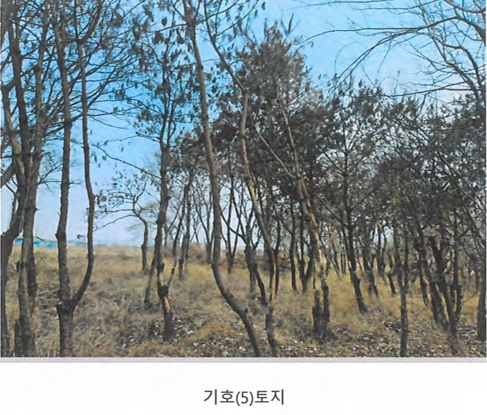 2024타경129894 경상북도 경산시 와촌면 용천리 661-3 근린시설 경매 이미지