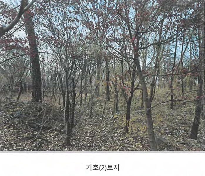2024타경129894 경상북도 경산시 와촌면 용천리 661-3 근린시설 경매 이미지