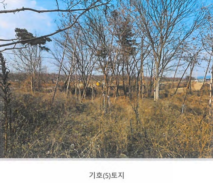 2024타경129894 경상북도 경산시 와촌면 용천리 661-3 근린시설 경매 이미지