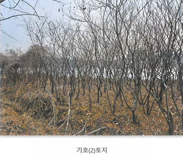2024타경129894 경상북도 경산시 와촌면 용천리 661-3 근린시설 경매 이미지