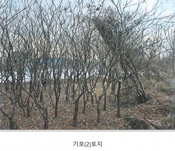 2024타경129894 경상북도 경산시 와촌면 용천리 661-3 근린시설 경매 이미지