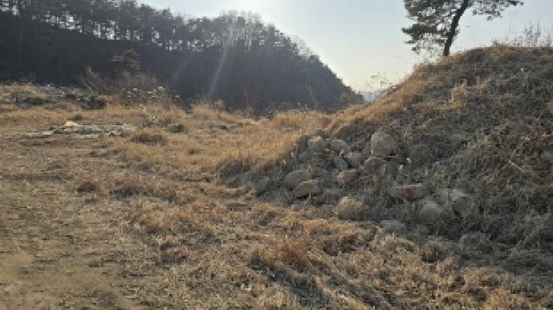 2025타경6073 경상북도 칠곡군 동명면 득명리 176-2 농지 경매 이미지