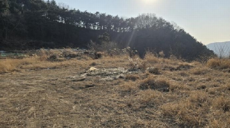 2025타경6073 경상북도 칠곡군 동명면 득명리 176-2 농지 경매 이미지