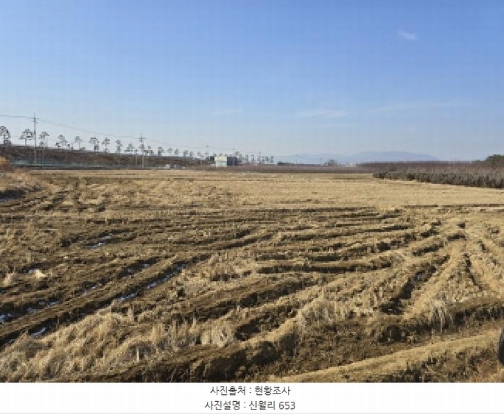 2025타경6172 경상북도 영천시 금호읍 신월리 653 농지 경매 이미지