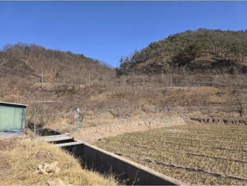 2025타경6639 경상북도 영천시 화산면 당지리 342 농지 경매 이미지