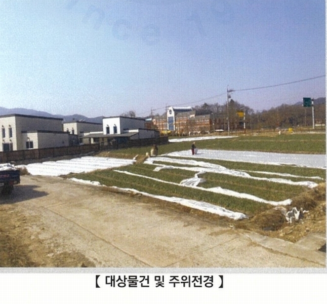 2025타경7289 경상북도 영천시 신녕면 화성리 376-6 농지 경매 이미지