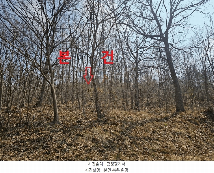 2025타경7322 경상북도 칠곡군 가산면 석우리 산100 임야 경매 이미지