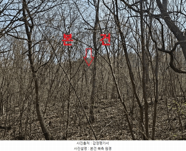 2025타경7322 경상북도 칠곡군 가산면 석우리 산100 임야 경매 이미지