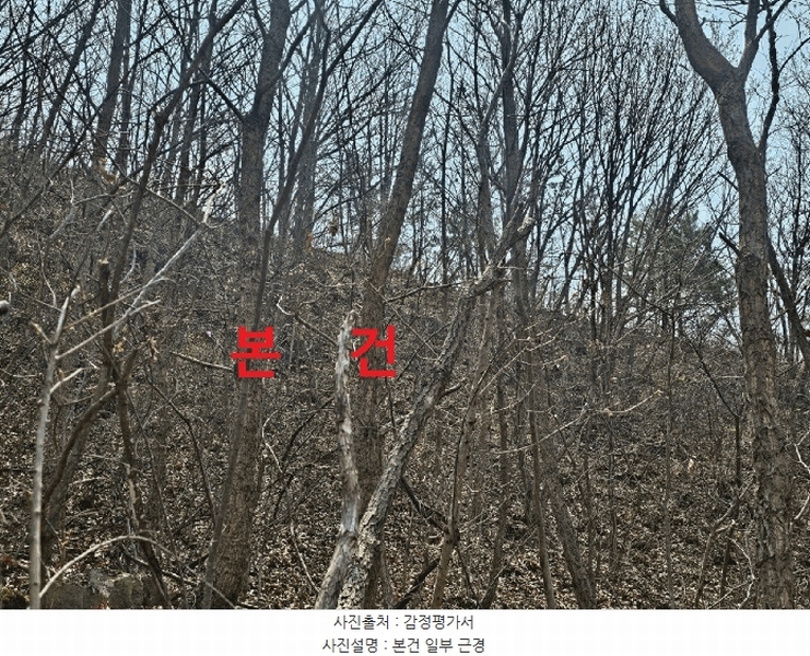 2025타경7322 경상북도 칠곡군 가산면 석우리 산100 임야 경매 이미지