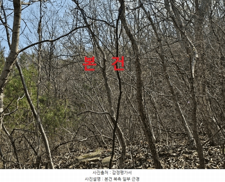 2025타경7322 경상북도 칠곡군 가산면 석우리 산100 임야 경매 이미지