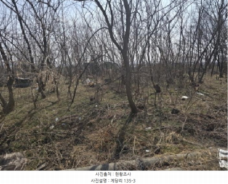 2025타경7407 경상북도 경산시 와촌면 계당리 135-1 농지 경매 이미지