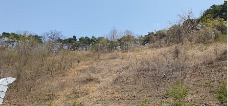 2025타경7560 경상북도 경산시 자인면 신관리 산47-4 임야 경매 이미지