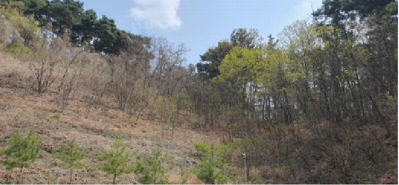 2025타경7560 경상북도 경산시 자인면 신관리 산47-4 임야 경매 이미지