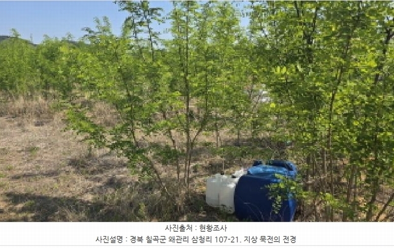 2025타경7659 경상북도 칠곡군 왜관읍 삼청리 107-19 과수원 경매 이미지