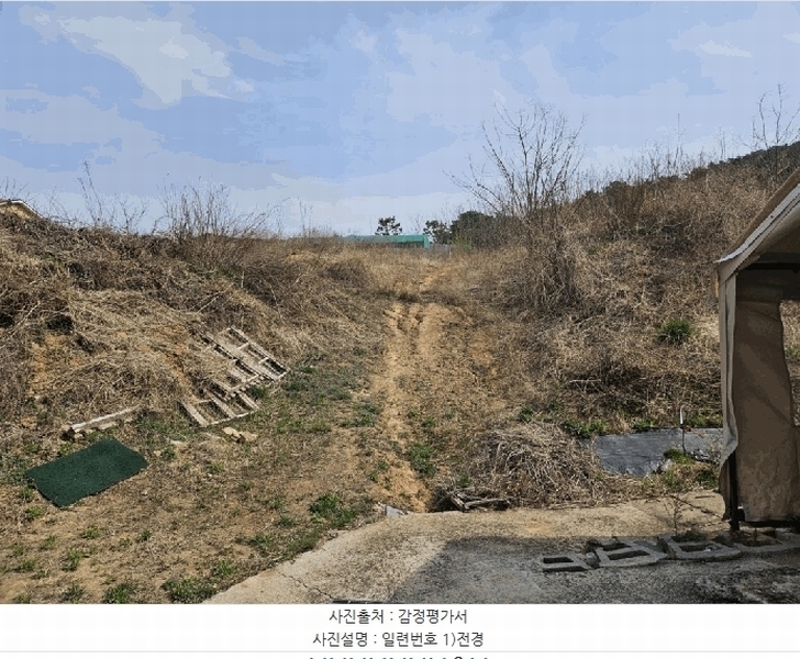 2025타경7659 경상북도 칠곡군 왜관읍 삼청리 107-19 과수원 경매 이미지