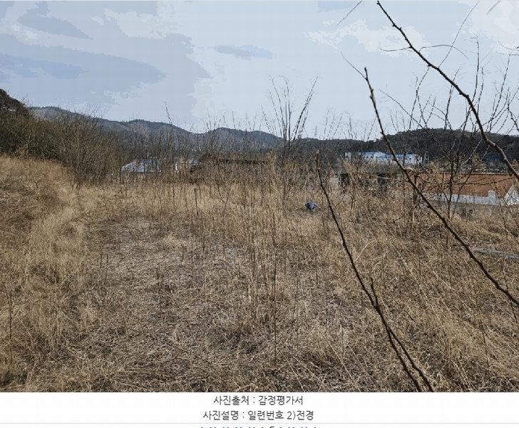 2025타경7659 경상북도 칠곡군 왜관읍 삼청리 107-19 과수원 경매 이미지