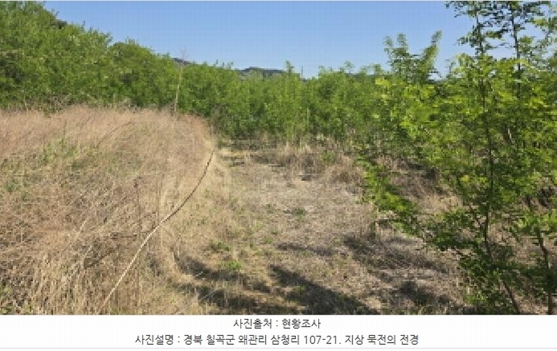 2025타경7659 경상북도 칠곡군 왜관읍 삼청리 107-19 과수원 경매 이미지