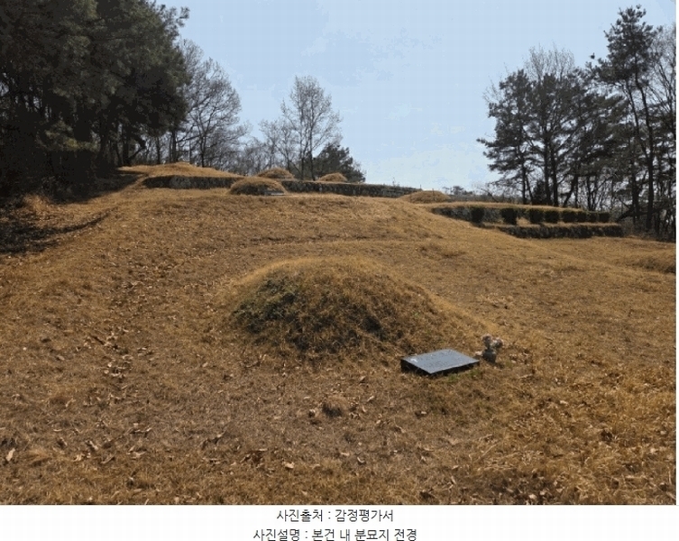 2025타경7725 경상북도 청도군 화양읍 삼신리 산194-6 임야 경매 이미지