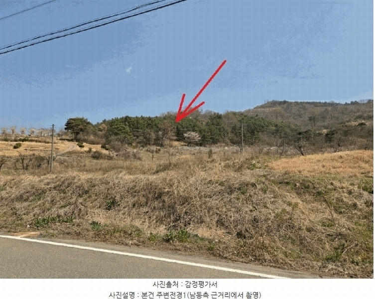 2025타경7725 경상북도 청도군 화양읍 삼신리 산194-6 임야 경매 이미지
