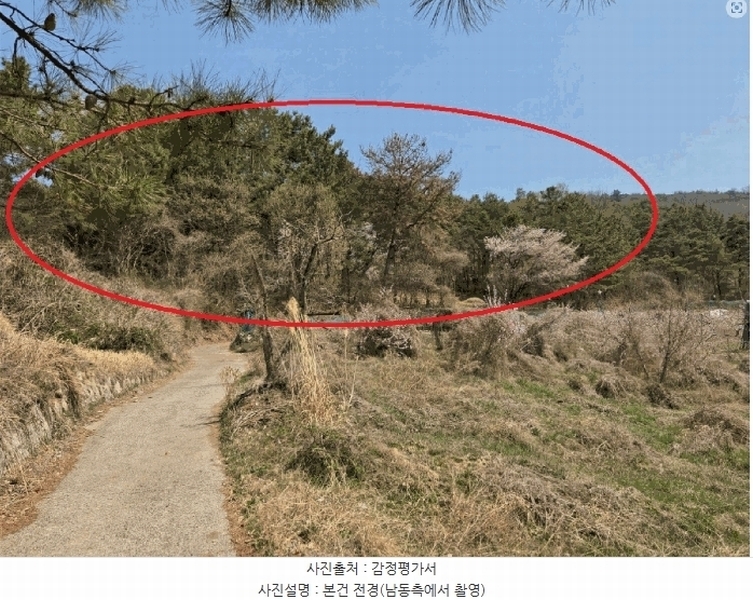 2025타경7725 경상북도 청도군 화양읍 삼신리 산194-6 임야 경매 이미지