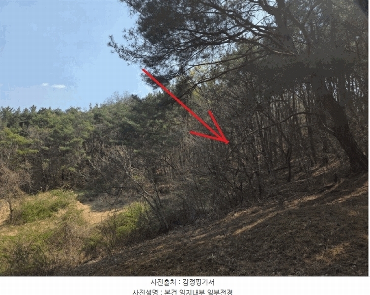 2025타경7725 경상북도 청도군 화양읍 삼신리 산194-6 임야 경매 이미지