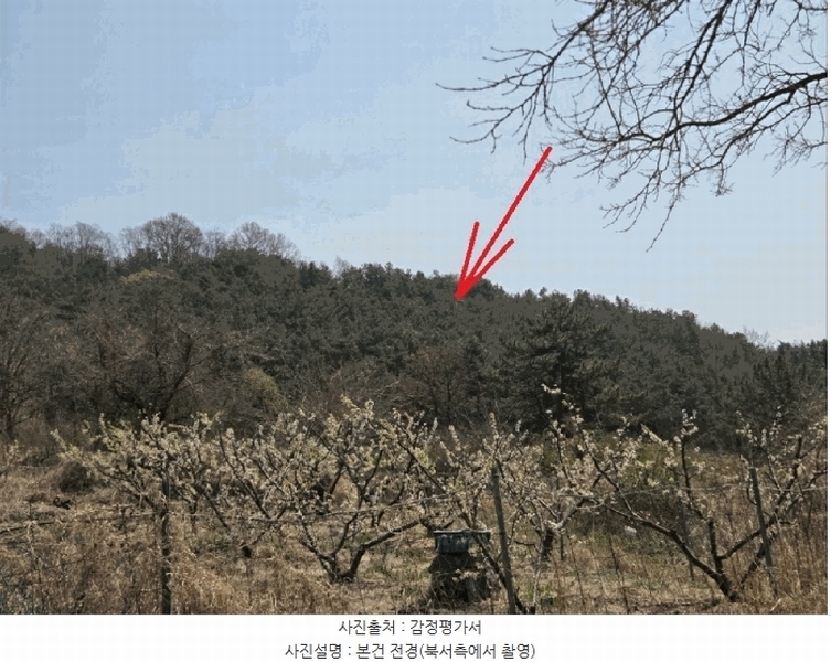 2025타경7725 경상북도 청도군 화양읍 삼신리 산194-6 임야 경매 이미지