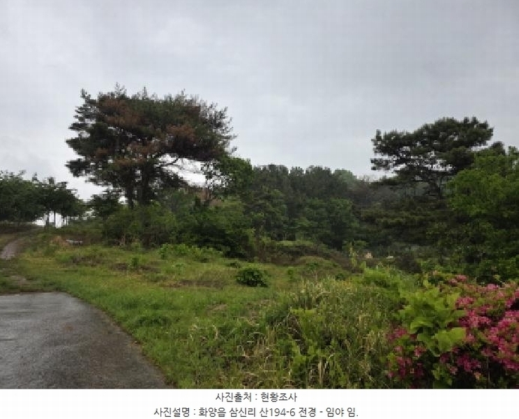 2025타경7725 경상북도 청도군 화양읍 삼신리 산194-6 임야 경매 이미지