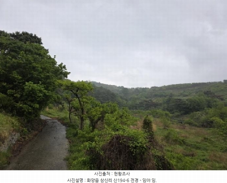 2025타경7725 경상북도 청도군 화양읍 삼신리 산194-6 임야 경매 이미지
