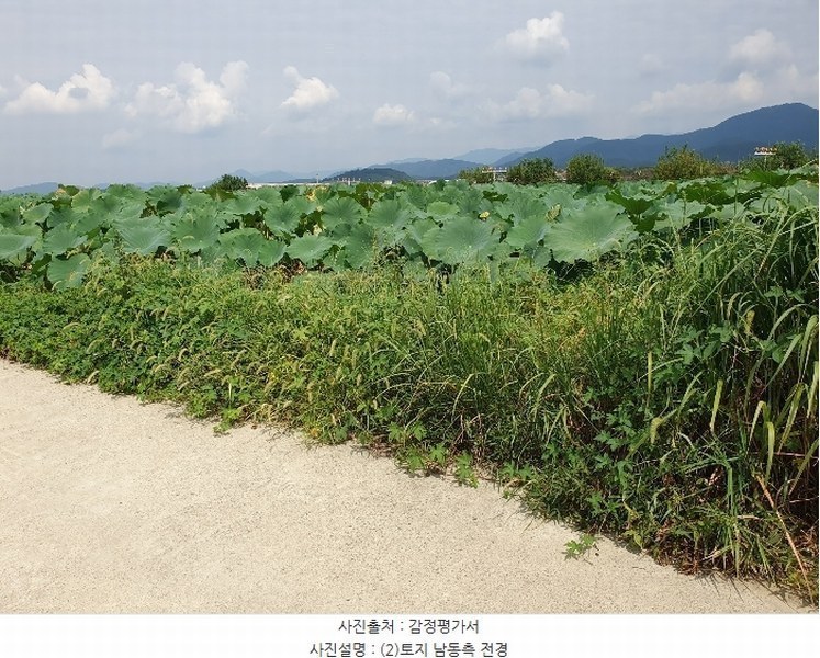 2024타경8256 대구광역시 동구 신평동 459 농지 경매 이미지