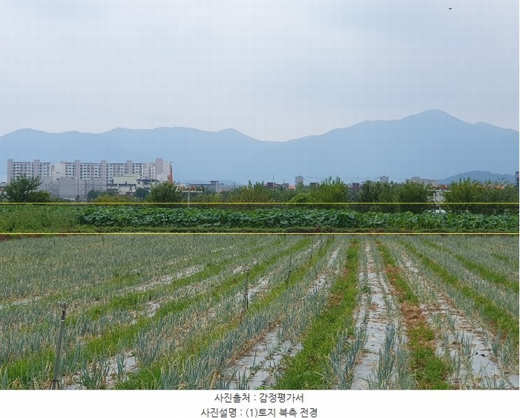 2024타경8256 대구광역시 동구 신평동 459 농지 경매 이미지