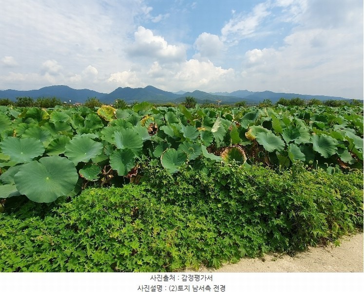 2024타경8256 대구광역시 동구 신평동 459 농지 경매 이미지