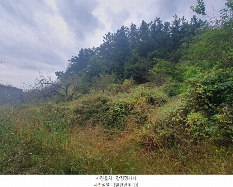 2024타경9563 경상북도 영천시 금호읍 원제리 73 임야 경매 이미지