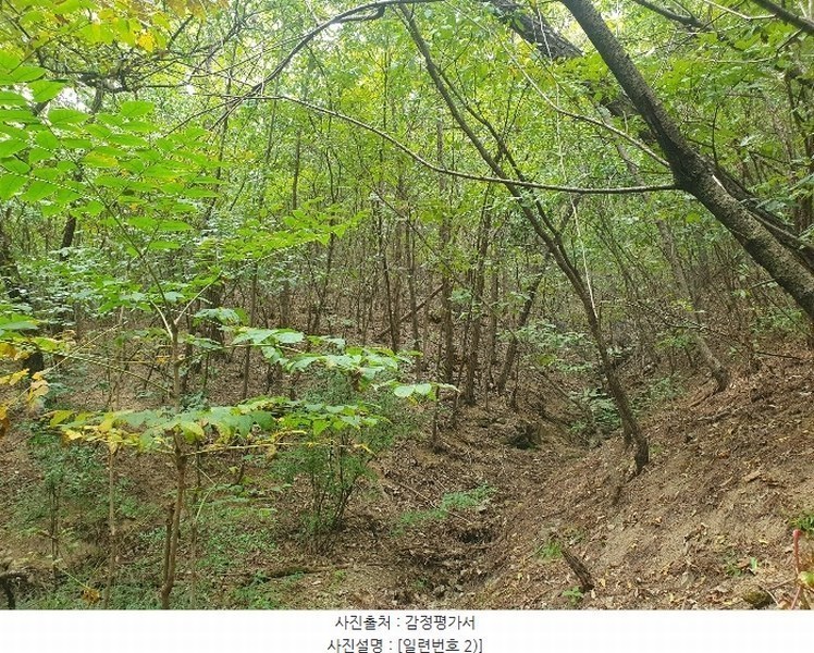 2024타경9563 경상북도 영천시 금호읍 원제리 73 임야 경매 이미지