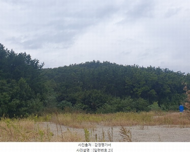 2024타경9563 경상북도 영천시 금호읍 원제리 73 임야 경매 이미지