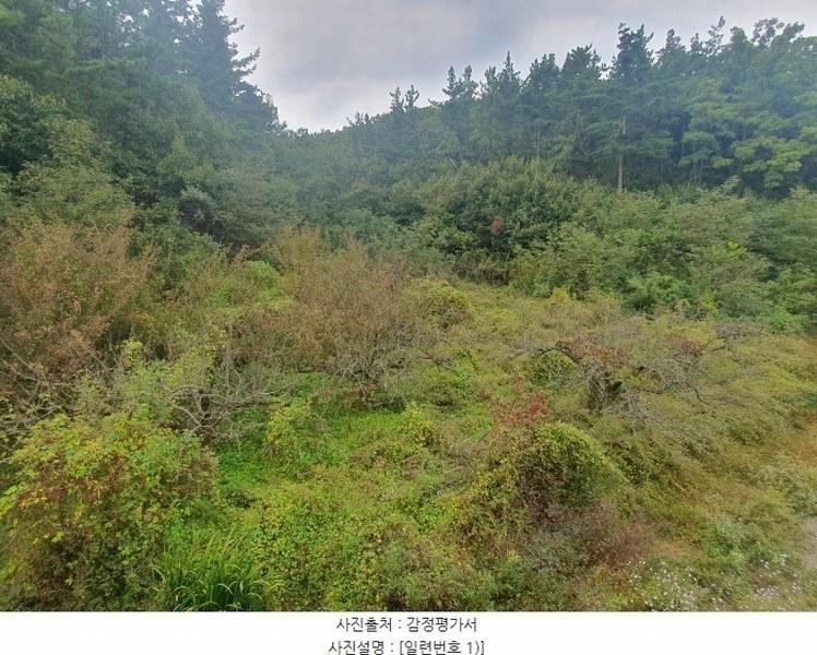 2024타경9563 경상북도 영천시 금호읍 원제리 73 임야 경매 이미지
