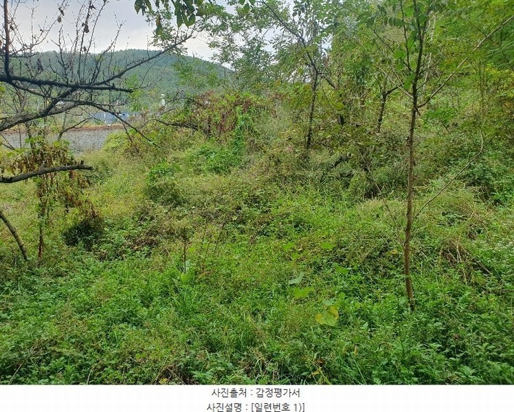 2024타경9563 경상북도 영천시 금호읍 원제리 73 임야 경매 이미지