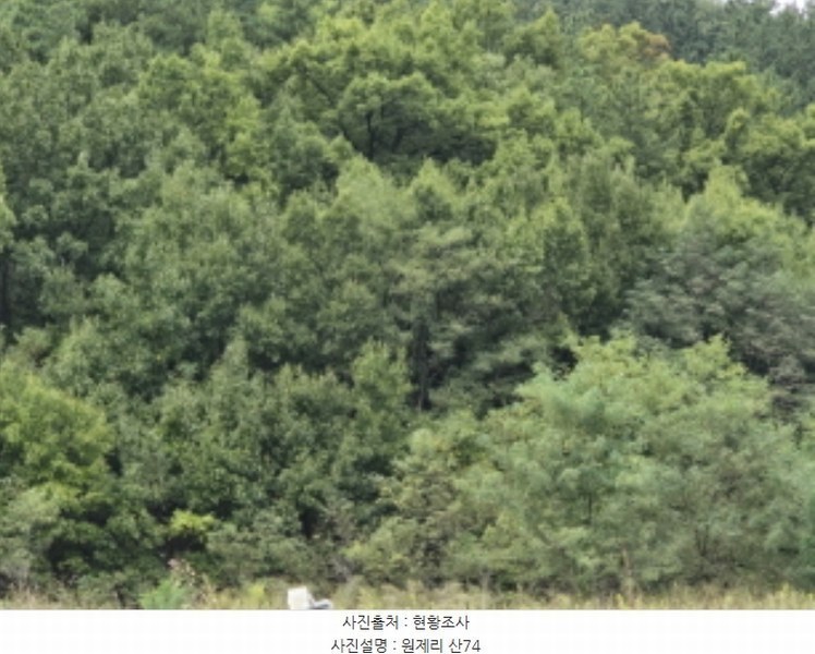 2024타경9563 경상북도 영천시 금호읍 원제리 73 임야 경매 이미지