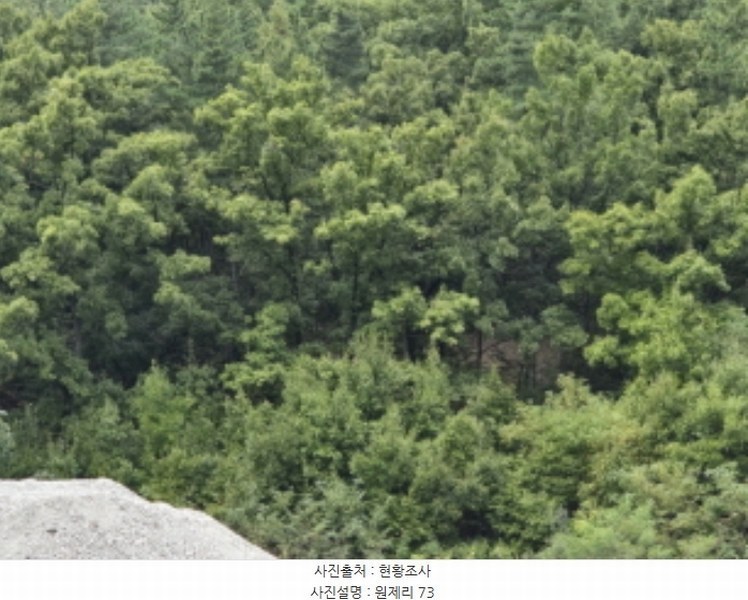 2024타경9563 경상북도 영천시 금호읍 원제리 73 임야 경매 이미지