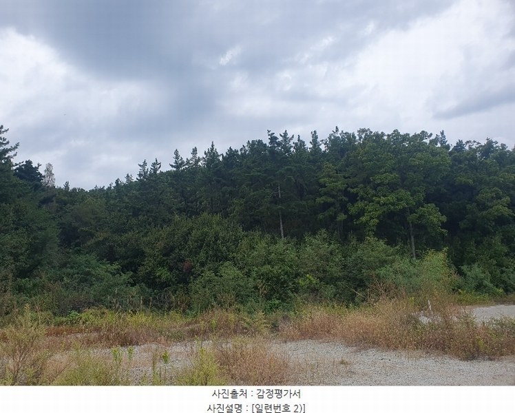 2024타경9563 경상북도 영천시 금호읍 원제리 73 임야 경매 이미지