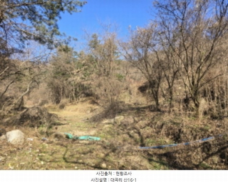 2024타경126802 경상북도 경산시 하양읍 대곡리 산16 임야 경매 이미지