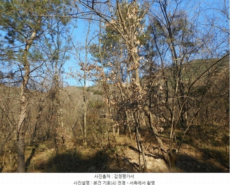 2024타경126802 경상북도 경산시 하양읍 대곡리 산16 임야 경매 이미지