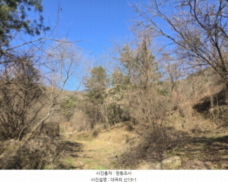 2024타경126802 경상북도 경산시 하양읍 대곡리 산16 임야 경매 이미지
