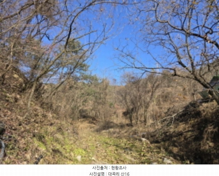 2024타경126802 경상북도 경산시 하양읍 대곡리 산16 임야 경매 이미지